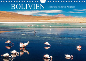 Bolivien – Natur und Kultur im Altiplano (Wandkalender 2023 DIN A4 quer) von Müller,  Harry