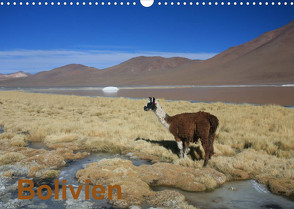 Bolivien (Wandkalender 2023 DIN A3 quer) von Alboter