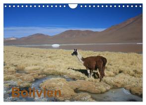 Bolivien (Wandkalender 2024 DIN A4 quer), CALVENDO Monatskalender von Alboter,  Alboter