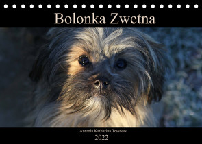 Bolonka Zwetna 2022 (Tischkalender 2022 DIN A5 quer) von Katharina Tessnow,  Antonia