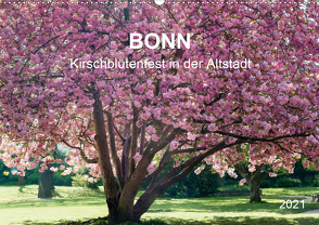 Bonn – Kirschblütenfest in der Altstadt (Wandkalender 2021 DIN A2 quer) von Reif,  Wolfgang