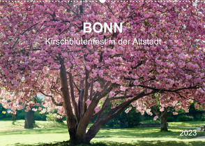 Bonn – Kirschblütenfest in der Altstadt (Wandkalender 2023 DIN A2 quer) von Reif,  Wolfgang