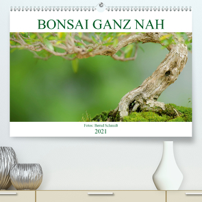 Bonsai ganz nah (Premium, hochwertiger DIN A2 Wandkalender 2021, Kunstdruck in Hochglanz) von Schmidt,  Bernd