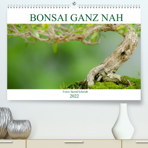 Bonsai ganz nah (Premium, hochwertiger DIN A2 Wandkalender 2022, Kunstdruck in Hochglanz) von Schmidt,  Bernd