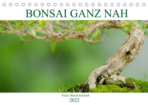 Bonsai ganz nah (Tischkalender 2022 DIN A5 quer) von Schmidt,  Bernd