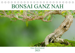 Bonsai ganz nah (Tischkalender 2023 DIN A5 quer) von Schmidt,  Bernd