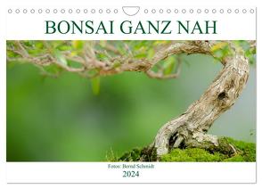 Bonsai ganz nah (Wandkalender 2024 DIN A4 quer), CALVENDO Monatskalender von Schmidt,  Bernd