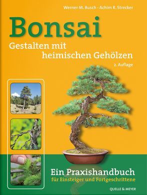 Bonsai – Gestalten mit heimischen Gehölzen von Busch,  Werner M., Strecker,  Achim R.