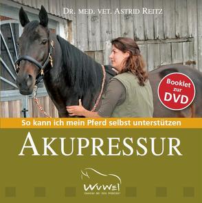 Booklet zur DVD Akupressur von Orterer,  Christine, Reitz,  Astrid, Sonntag,  Isabella