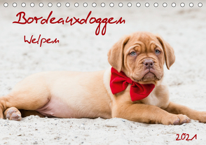 Bordeauxdoggen Welpen (Tischkalender 2021 DIN A5 quer) von Kassat Fotografie,  Nicola