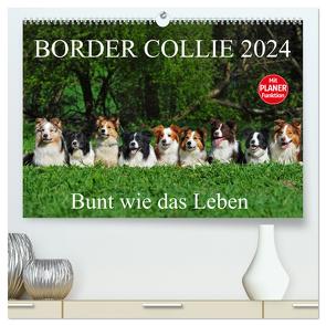 Border Collie 2024 (hochwertiger Premium Wandkalender 2024 DIN A2 quer), Kunstdruck in Hochglanz von Starick,  Sigrid