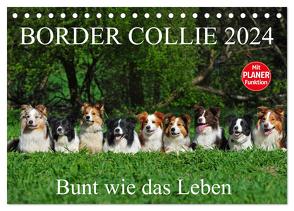 Border Collie 2024 (Tischkalender 2024 DIN A5 quer), CALVENDO Monatskalender von Starick,  Sigrid