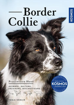 Border Collie von Koehler,  Tanja