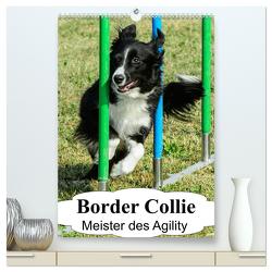 Border Collie Meister des Agility (hochwertiger Premium Wandkalender 2024 DIN A2 hoch), Kunstdruck in Hochglanz von homwico,  homwico