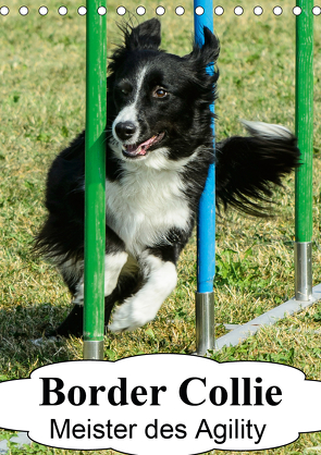 Border Collie Meister des Agility (Tischkalender 2021 DIN A5 hoch) von homwico