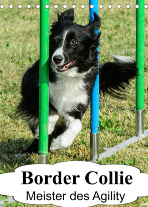 Border Collie Meister des Agility (Tischkalender 2022 DIN A5 hoch) von homwico