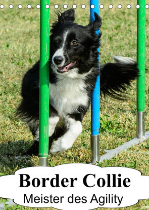 Border Collie Meister des Agility (Tischkalender 2023 DIN A5 hoch) von homwico