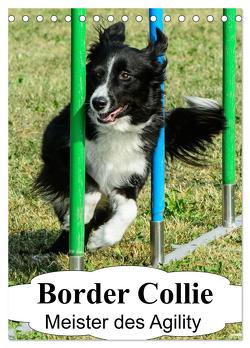 Border Collie Meister des Agility (Tischkalender 2024 DIN A5 hoch), CALVENDO Monatskalender von homwico,  homwico