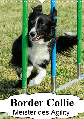 Border Collie Meister des Agility (Wandkalender 2021 DIN A3 hoch) von homwico