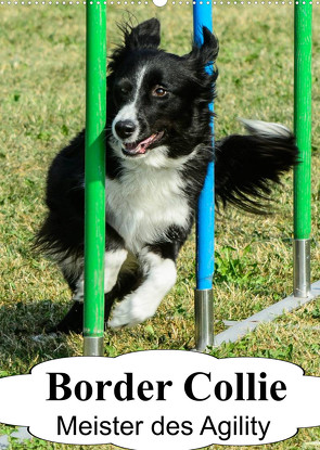 Border Collie Meister des Agility (Wandkalender 2022 DIN A2 hoch) von homwico