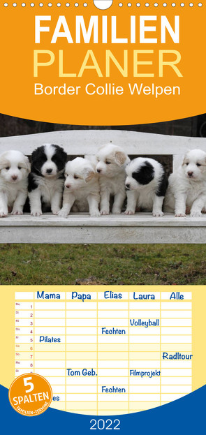 Familienplaner Border Collie Welpen (Wandkalender 2022 , 21 cm x 45 cm, hoch) von Lindert-Rottke,  Antje