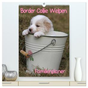 Border Collie Welpen – Familienplaner (hochwertiger Premium Wandkalender 2024 DIN A2 hoch), Kunstdruck in Hochglanz von Lindert-Rottke,  Antje