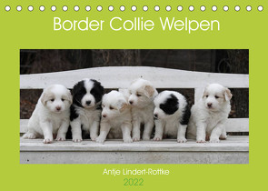 Border Collie Welpen (Tischkalender 2022 DIN A5 quer) von Lindert-Rottke,  Antje