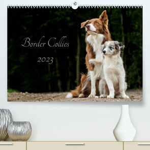 Border Collies 2023 (Premium, hochwertiger DIN A2 Wandkalender 2023, Kunstdruck in Hochglanz) von Hemlep,  Christine