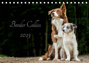 Border Collies 2023 (Tischkalender 2023 DIN A5 quer) von Hemlep,  Christine