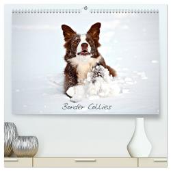 Border Collies (hochwertiger Premium Wandkalender 2024 DIN A2 quer), Kunstdruck in Hochglanz von Greiling,  Hermann