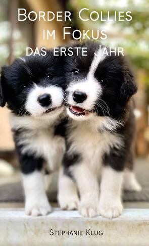 Border Collies im Fokus – das erste Jahr von Klug,  Stephanie