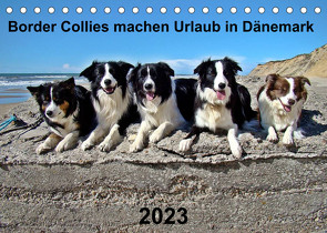 Border Collies machen Urlaub in Dänemark (Tischkalender 2023 DIN A5 quer) von Busch,  Eva