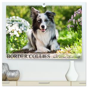 Border Collies – nicht nur schwarzweiß (hochwertiger Premium Wandkalender 2024 DIN A2 quer), Kunstdruck in Hochglanz von Kiener - DoraZett,  Judith