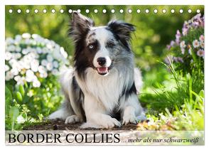 Border Collies – nicht nur schwarzweiß (Tischkalender 2024 DIN A5 quer), CALVENDO Monatskalender von Kiener - DoraZett,  Judith