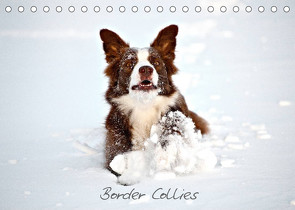 Border Collies (Tischkalender 2022 DIN A5 quer) von Greiling,  Hermann