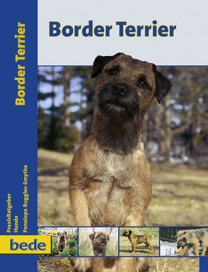 Border Terrier von Ruggles-Smythe,  Penelope