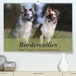 Bordercollies – Das Vierohr-Team unterwegs (Premium, hochwertiger DIN A2 Wandkalender 2022, Kunstdruck in Hochglanz) von Müller Hundefotowerk,  Beatrice