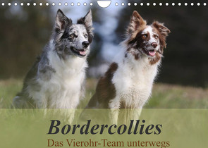 Bordercollies – Das Vierohr-Team unterwegs (Wandkalender 2022 DIN A4 quer) von Müller Hundefotowerk,  Beatrice