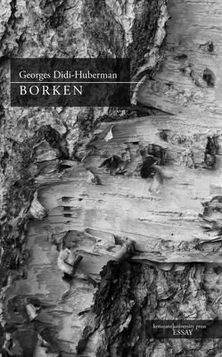 Borken von Didi-Huberman,  Georges