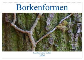 Borkenformen (Wandkalender 2024 DIN A2 quer), CALVENDO Monatskalender von Stenner,  Clemens