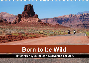 Born to be Wild – Mit der Harley durch den Südwesten der USA (Wandkalender 2023 DIN A2 quer) von Kärcher,  Mike