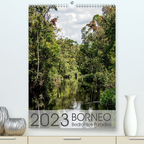 BORNEO Bedrohtes Paradies (Premium, hochwertiger DIN A2 Wandkalender 2023, Kunstdruck in Hochglanz) von Schoennerstedt,  Maren