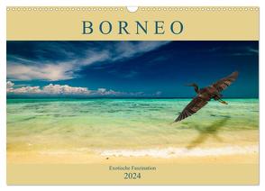 Borneo – Exotische Faszination (Wandkalender 2024 DIN A3 quer), CALVENDO Monatskalender von Wünsche,  Arne