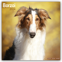 Borzoi – Russischer Wolfshund 2024 – 16-Monatskalender