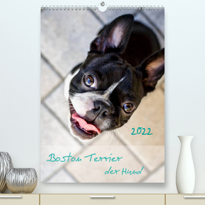 Boston Terrier der Hund 2022 (Premium, hochwertiger DIN A2 Wandkalender 2022, Kunstdruck in Hochglanz) von Schwarz,  Nailia