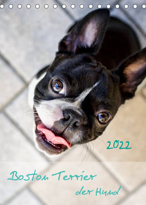 Boston Terrier der Hund 2022 (Tischkalender 2022 DIN A5 hoch) von Schwarz,  Nailia