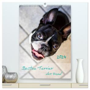 Boston Terrier der Hund 2024 (hochwertiger Premium Wandkalender 2024 DIN A2 hoch), Kunstdruck in Hochglanz von Schwarz,  Nailia