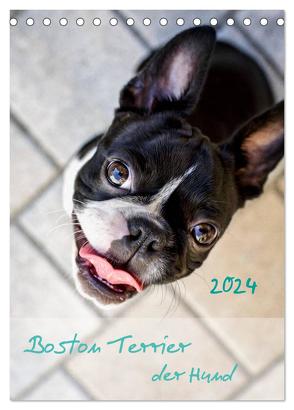 Boston Terrier der Hund 2024 (Tischkalender 2024 DIN A5 hoch), CALVENDO Monatskalender von Schwarz,  Nailia