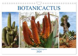 BOTANICACTUS Mallorcas Kakteengarten (Wandkalender 2024 DIN A4 quer), CALVENDO Monatskalender von Kruse,  Gisela