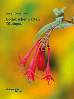 Botanischer Garten Tübingen von Fiebig,  Brigitte, Groebe,  Gerhard, Kehl,  Alexandra